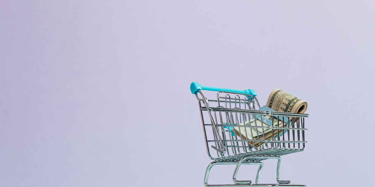 Shopify Basic vs Shopify Plus: What Changes When You Scale Up?